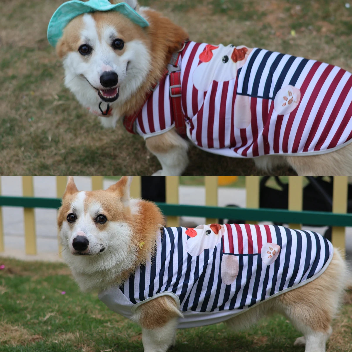 Cooling Dog Clothes