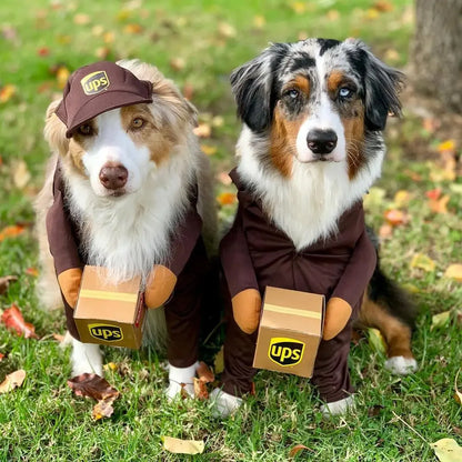 Pet Courier Costume