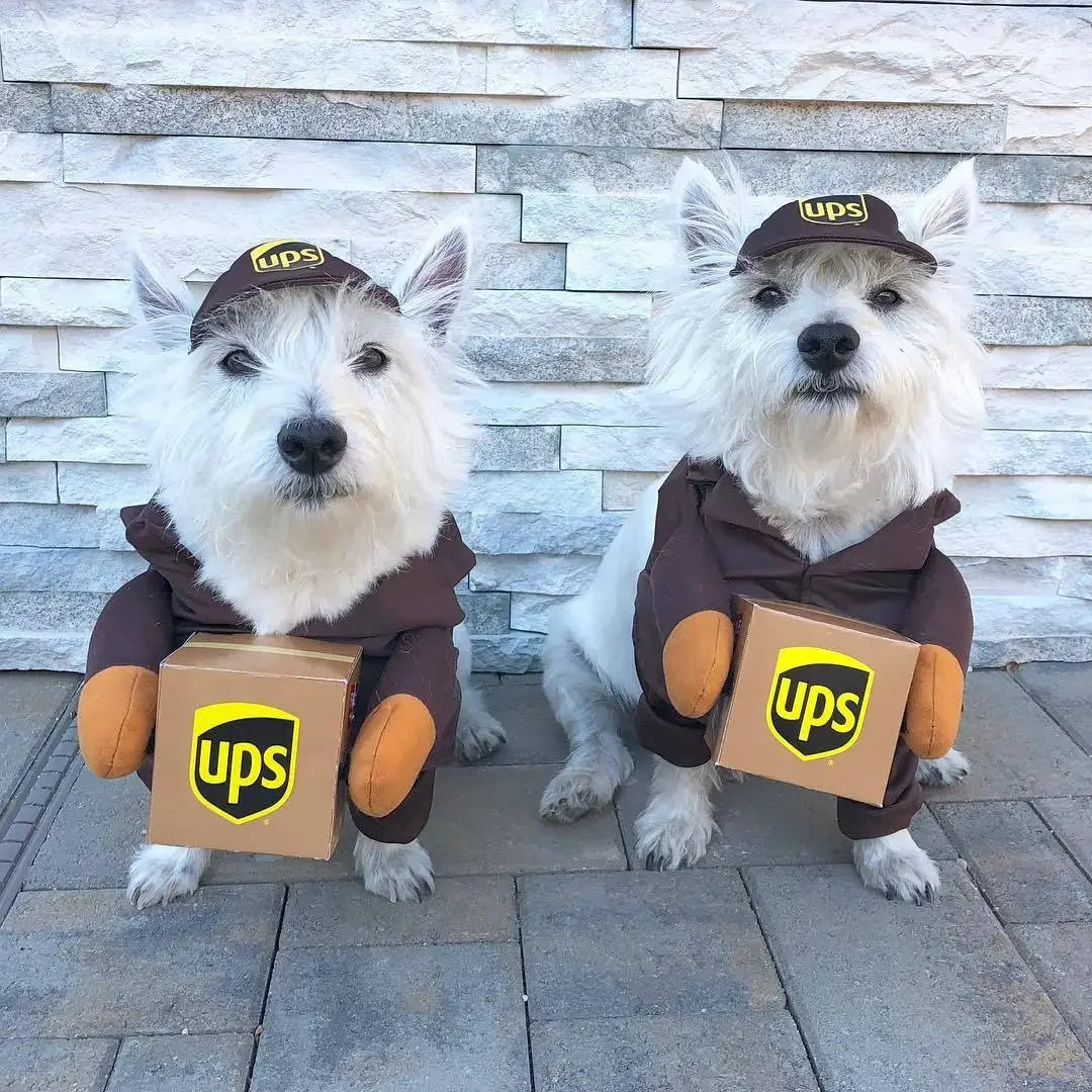 Pet Courier Costume