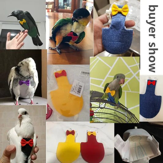 Pet Bird Diaper & Flight Suit Outfit