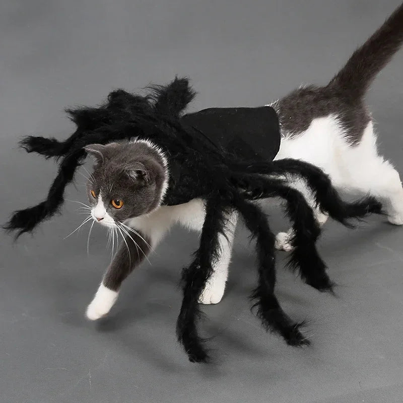 Pet Cats Dogs Funny Cosplay Spider Costume Halloween Dog Cat Clothes Halloween Party Costumes for Small Medium Dog Cats Costumes