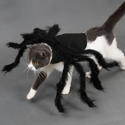 Pet Cats Dogs Funny Cosplay Spider Costume Halloween Dog Cat Clothes Halloween Party Costumes for Small Medium Dog Cats Costumes