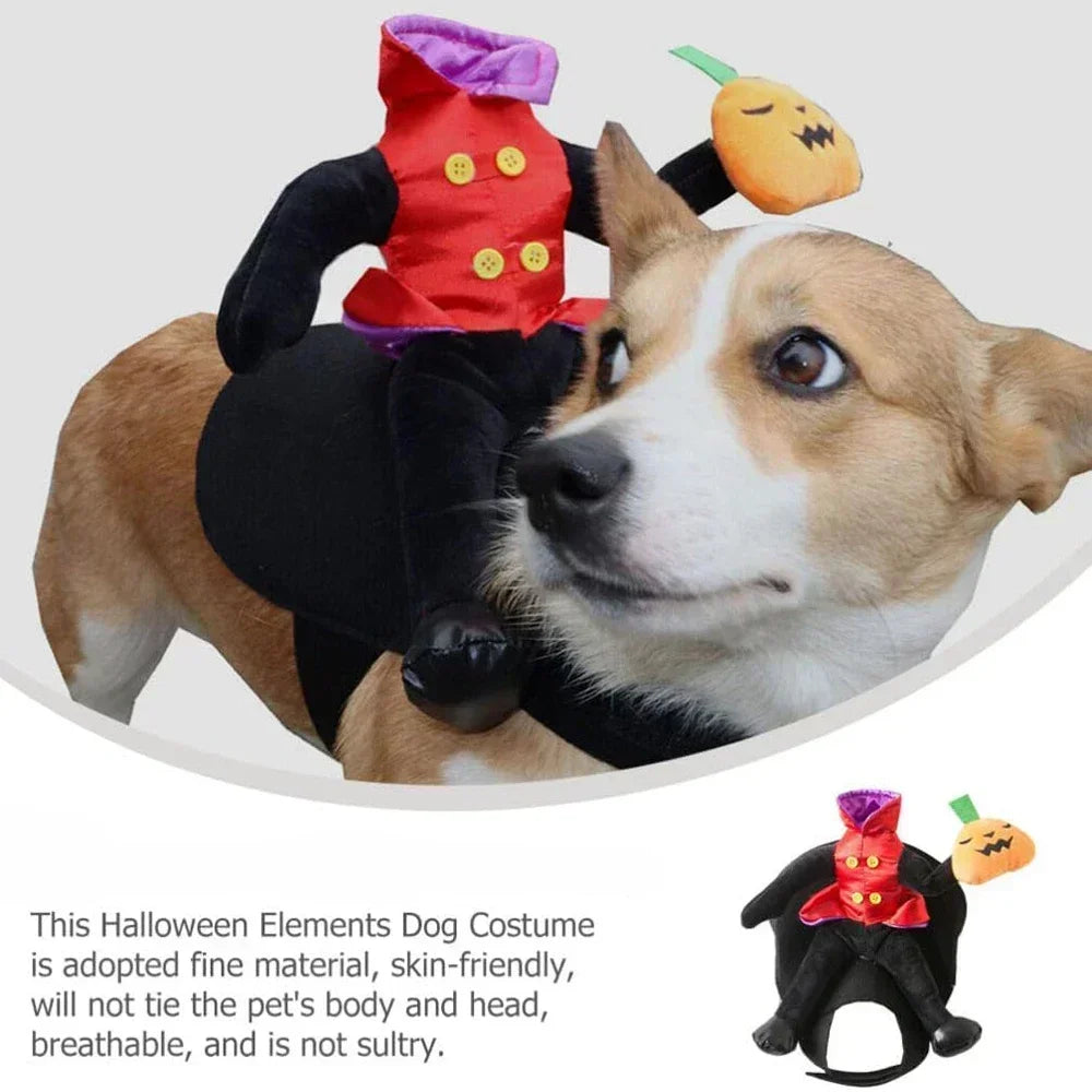 Pet Halloween Horse Riding Outfit