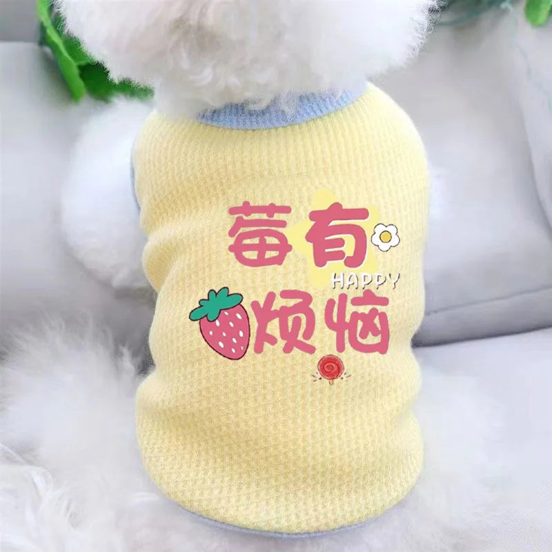 Cat Clothes Cute Summer Thin Style Four Foot Clothing Macarone Air Conditioning Vest Pet