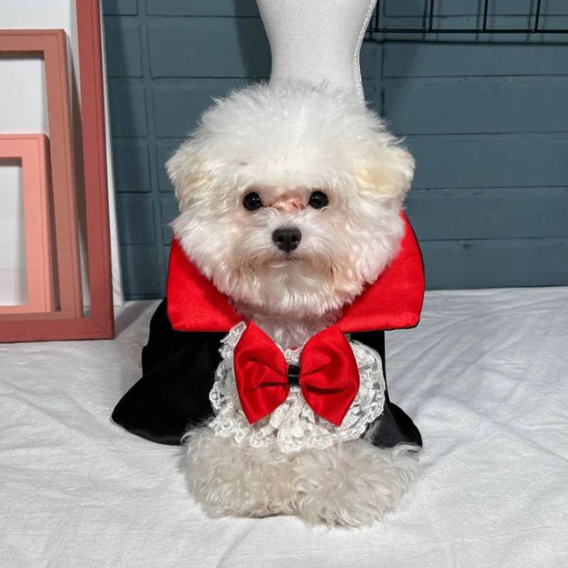 Dog Vampire Cape Costume