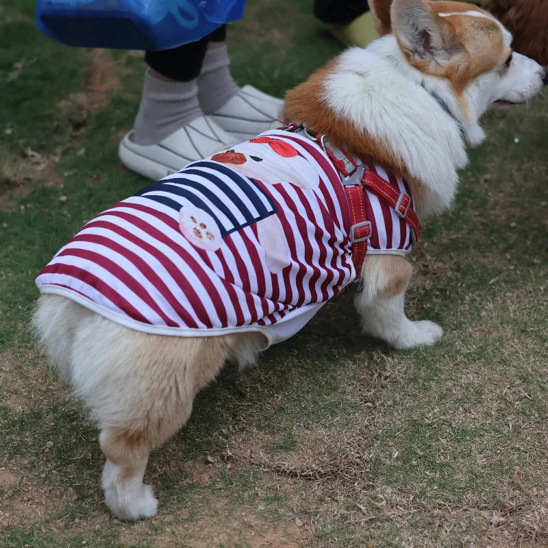 Cooling Dog Clothes