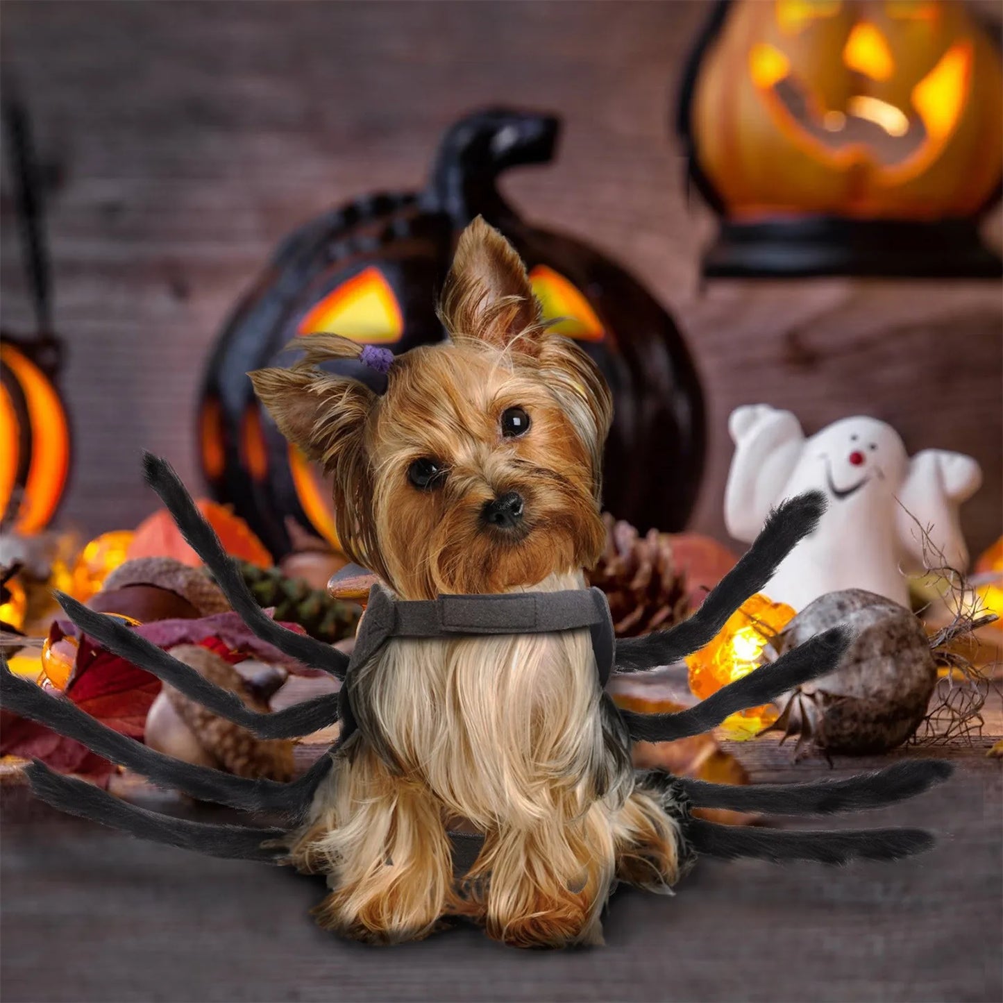 Spider Halloween Dog Costume, Funny Puppy Pet Halloween Costumes For Cat Dog, Halloween Party Cosplay Accessories Spider Decor