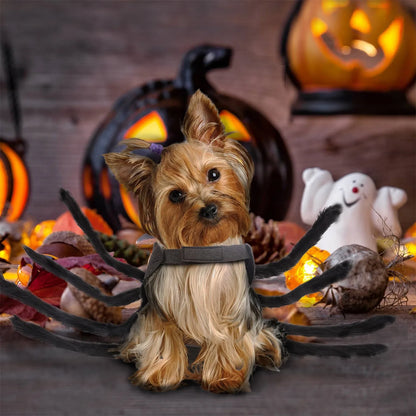 Spider Halloween Dog Costume, Funny Puppy Pet Halloween Costumes For Cat Dog, Halloween Party Cosplay Accessories Spider Decor