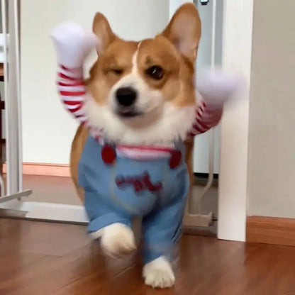 Pet Halloween Costume