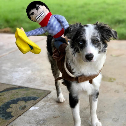 Funny Cowboy Dog Costume