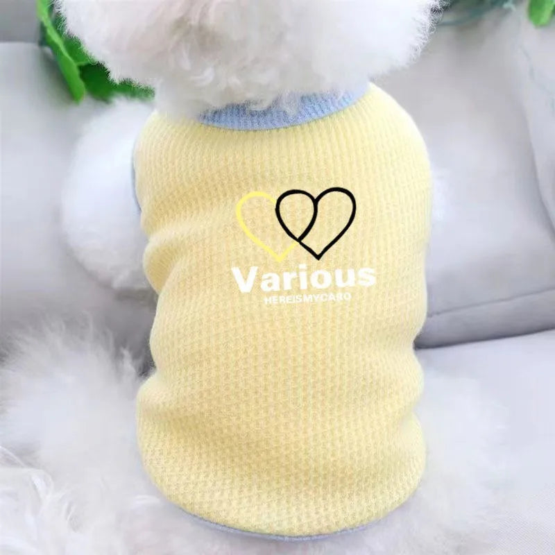 Cat Clothes Cute Summer Thin Style Four Foot Clothing Macarone Air Conditioning Vest Pet