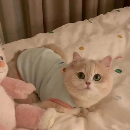 Cat Clothes Cute Summer Thin Style Four Foot Clothing Macarone Air Conditioning Vest Pet
