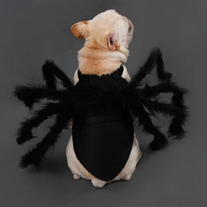Pet Cats Dogs Funny Cosplay Spider Costume Halloween Dog Cat Clothes Halloween Party Costumes for Small Medium Dog Cats Costumes