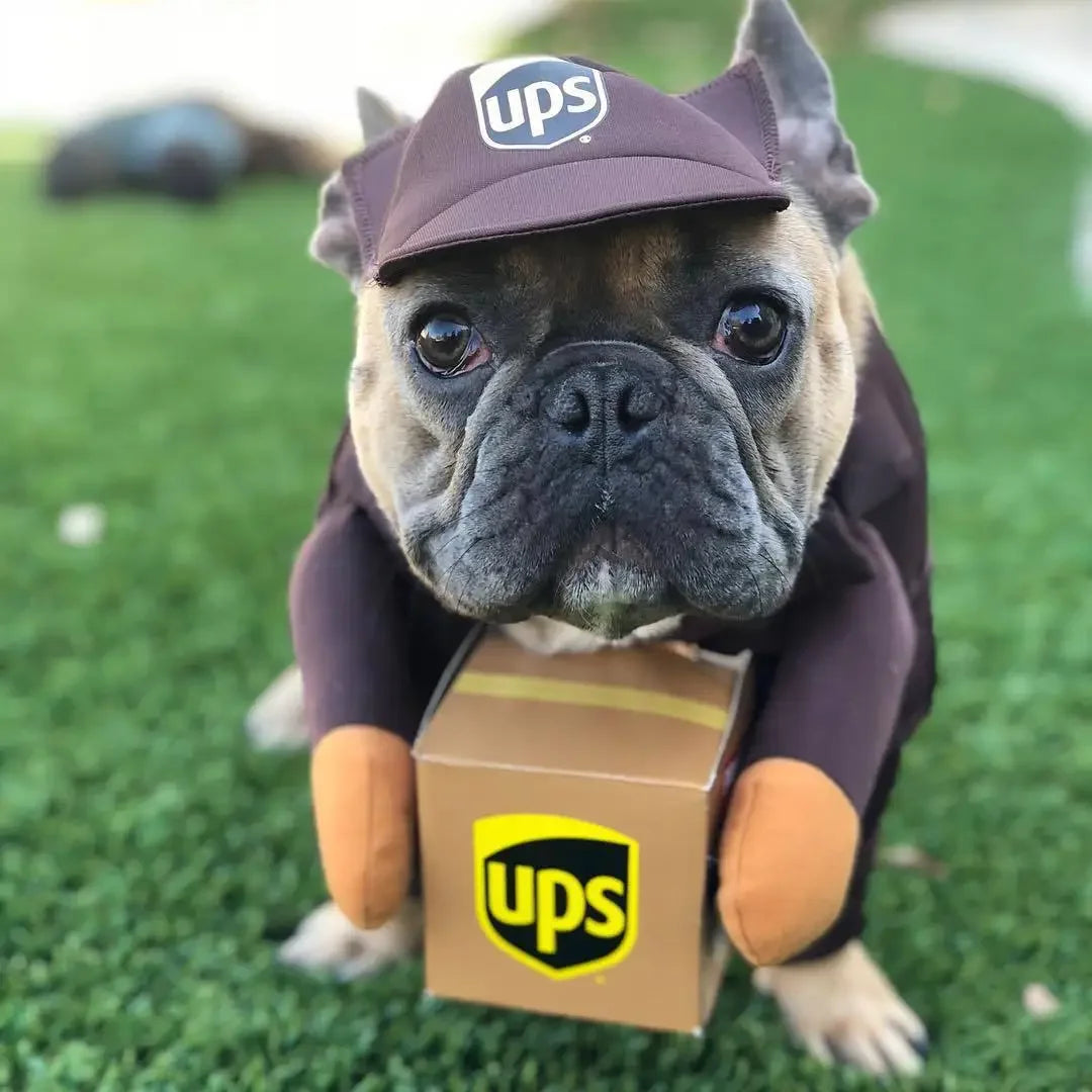 Pet Courier Costume