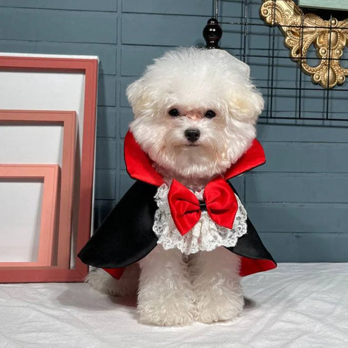 Dog Vampire Cape Costume