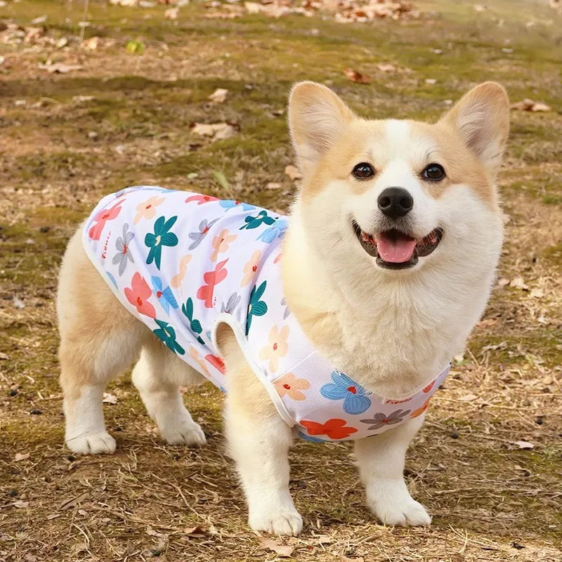 Cartoon Cute Pet Vest