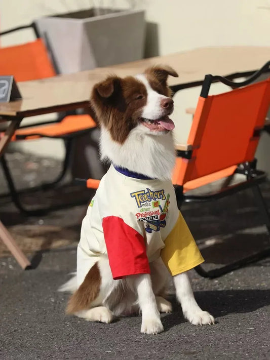 Dog T-Shirt – Fun Print & UPF50+