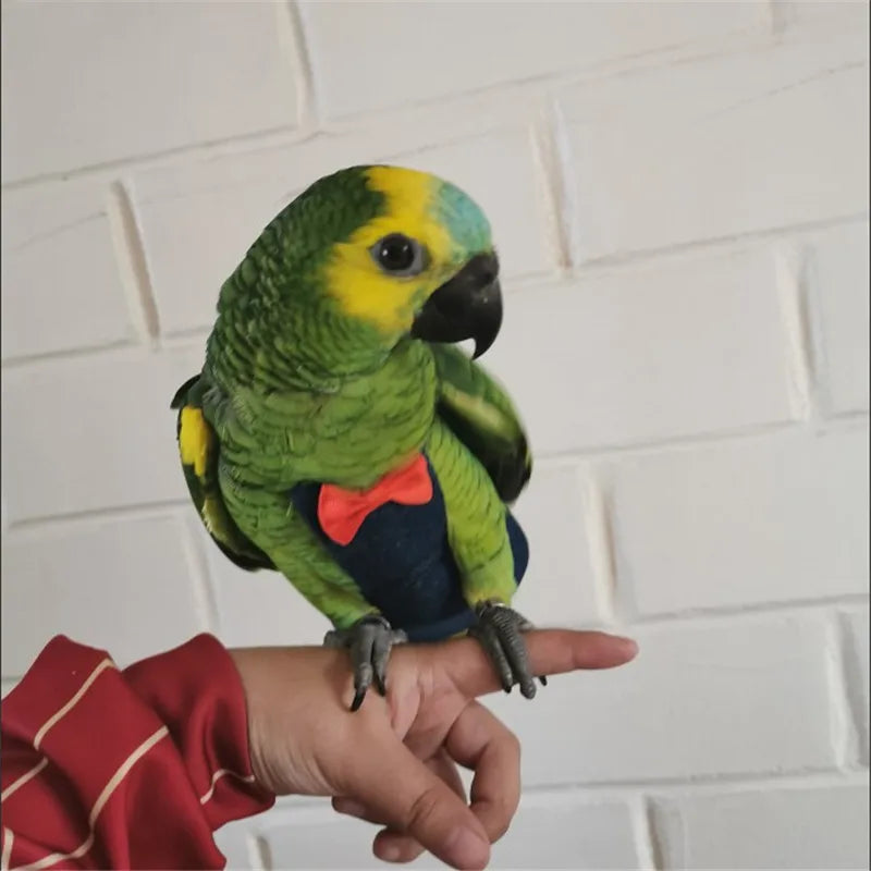 Pet Bird Diaper & Flight Outfit