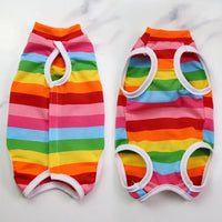 Colorful Stripe