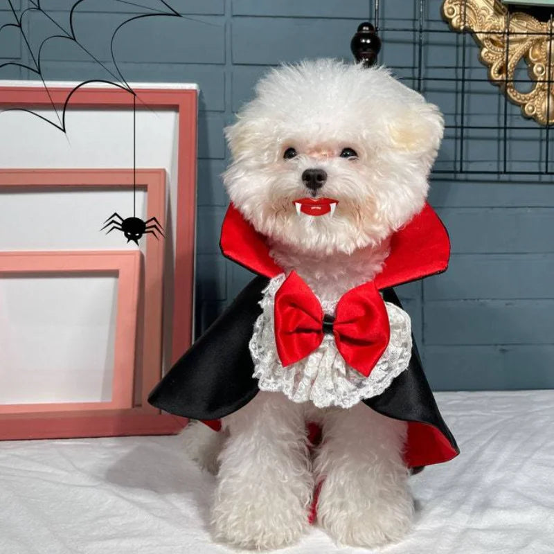 Dog Vampire Cape Costume